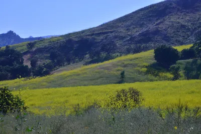 DSC_6121 (Large).JPG